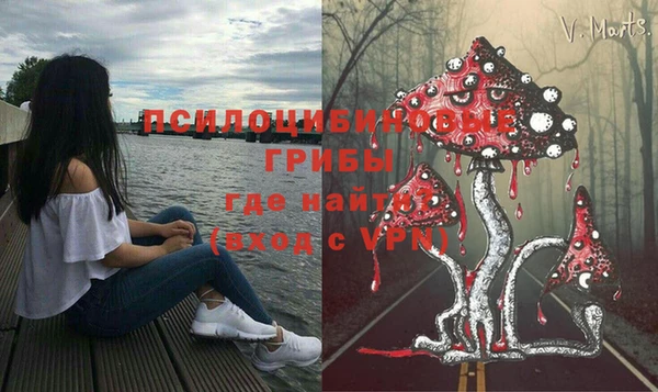 гидропоника Балабаново