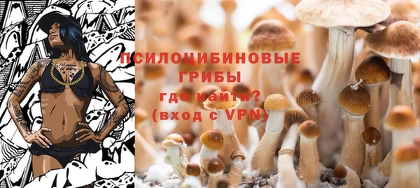 гидропоника Балабаново