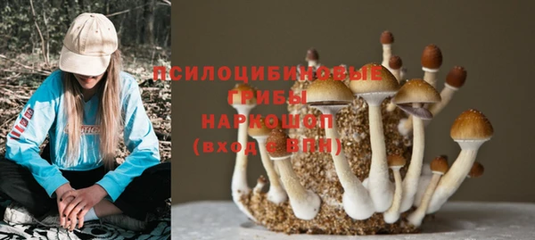 apvp Баксан