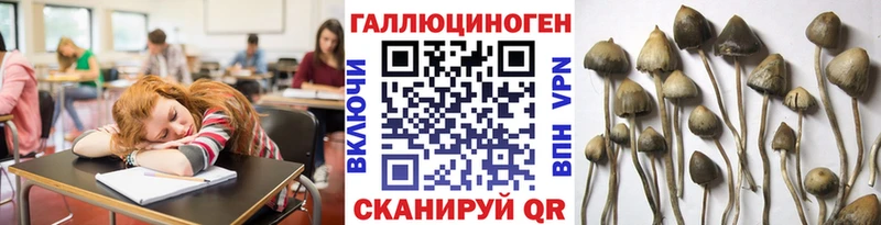 что такое   Переславль-Залесский  Псилоцибиновые грибы мухоморы 